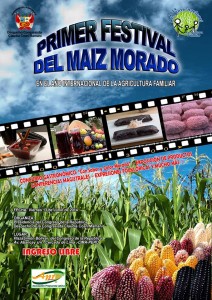 Festival Gastronomico Maiz Morado