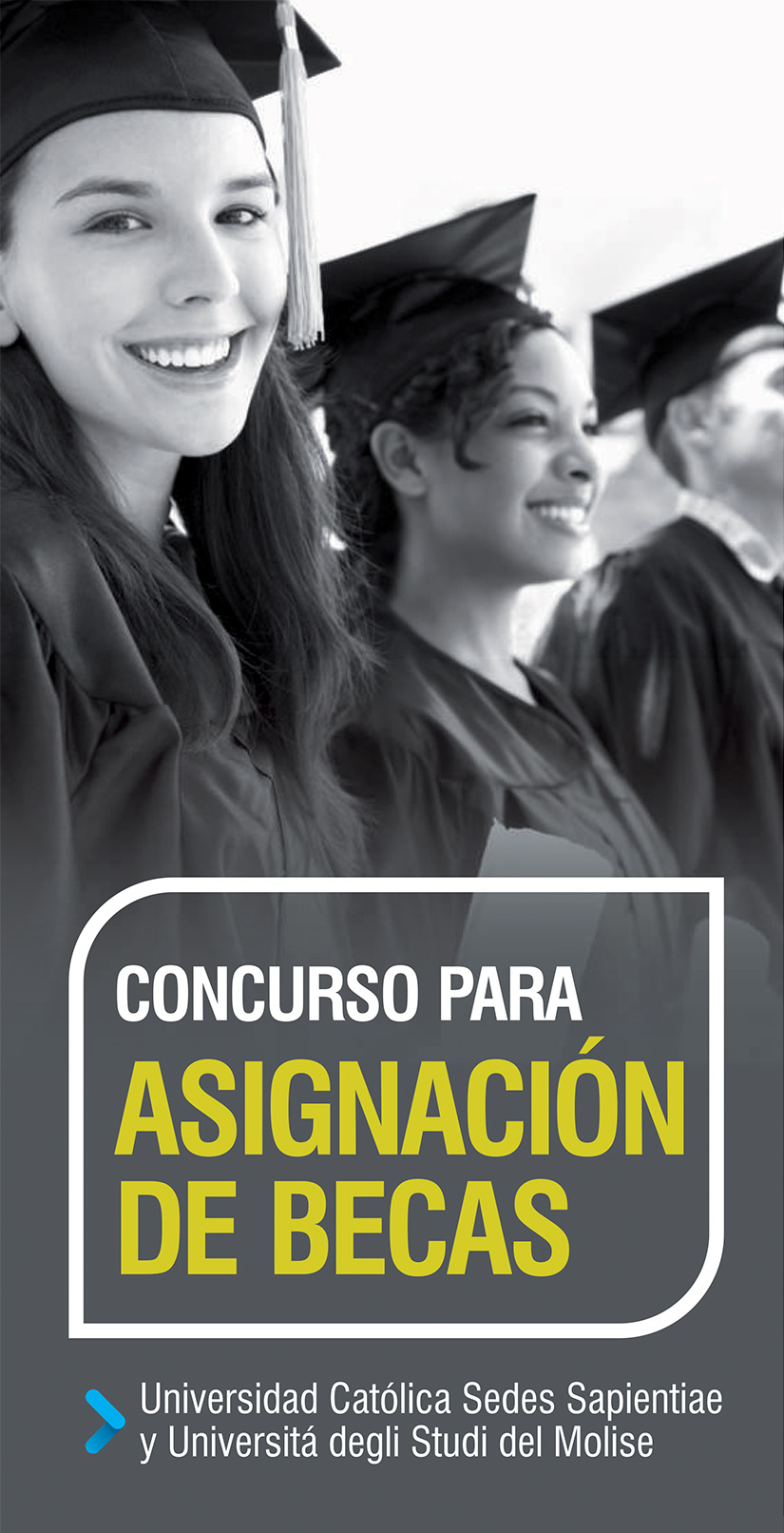 Concurso-Becas-Universidad-del-Molise---afiche-2016---1