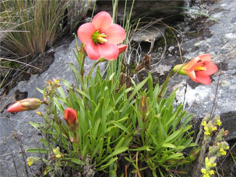 Index of /wp-content/uploads/2012/05