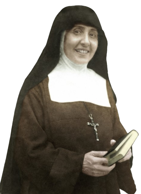 Teresa de la Cruz - image