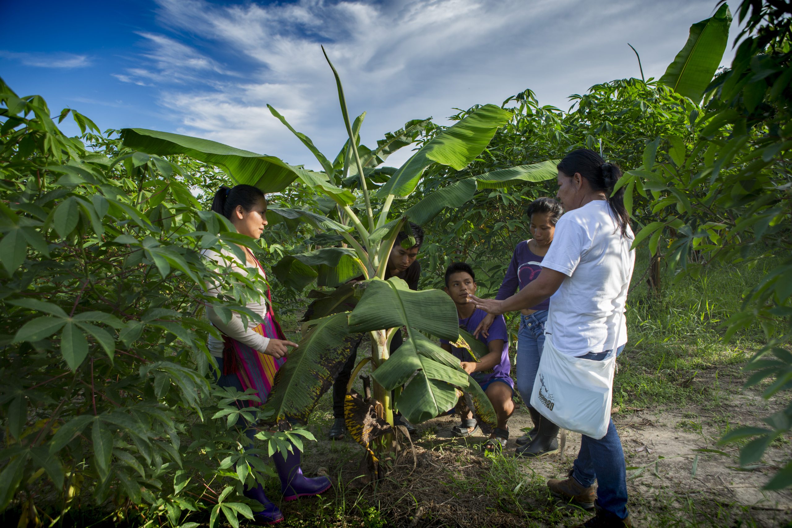 Formar para conservar: educación, gestión e investigación con raíces en la Amazonía.